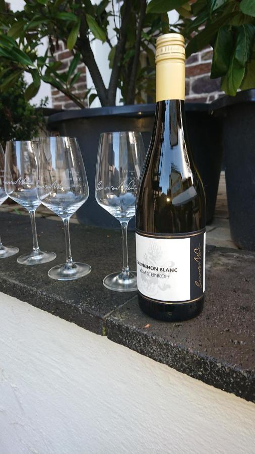 Ferienweingut Serwaziwein メセニヒ エクステリア 写真